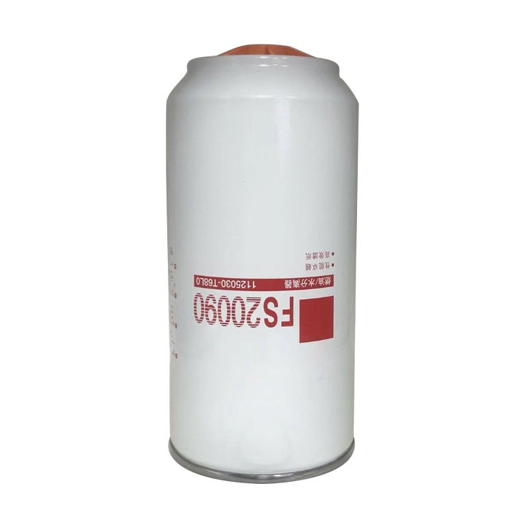 FS20090
